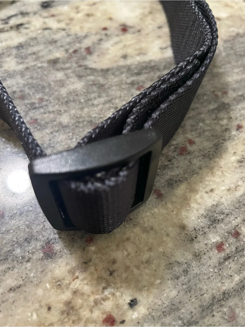Alphalete Black Dog Collar